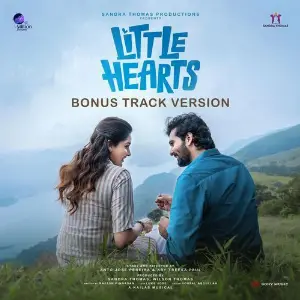 Little Hearts (Bonus Track Version) image