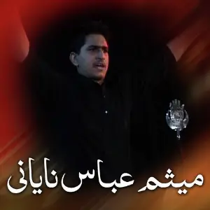 Maisam Abbas Nayani image