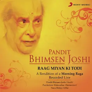 Raag Miyan Ki Todi (Live) image