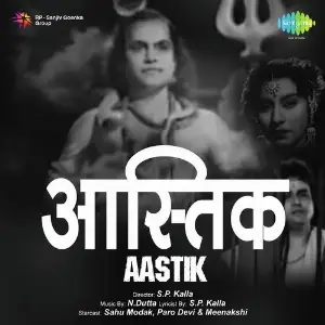 Aastik image