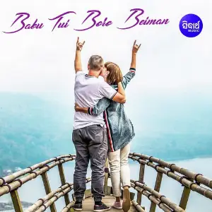 Babu Tui Boro Beiman image