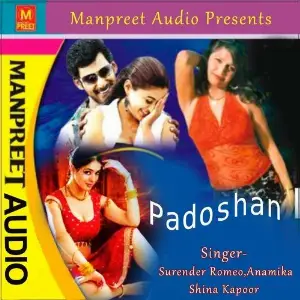 Padoshan image
