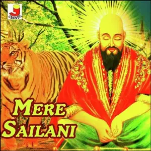 Mere Sailani image