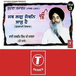 Jab Lag Joban Saas Hai (Vol. 3) image