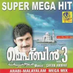 Mehbin 3 image