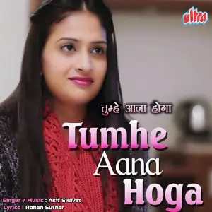 Tumhe Aana Hoga image