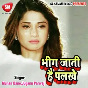 Bhig Jati Hai Palke-Hindi Lok Geet image
