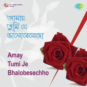 Amay Tumi Je Bhalobesechho image