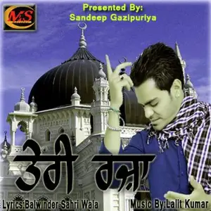 Teri Razaa image