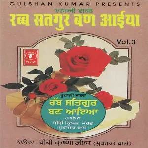 Rabb Satgur Ban Aaiya (Vol. 3) image