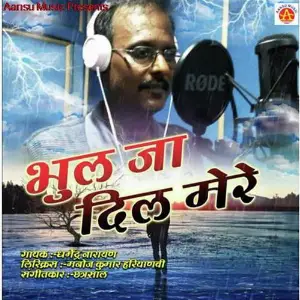 Bhul Ja Dil Mere image