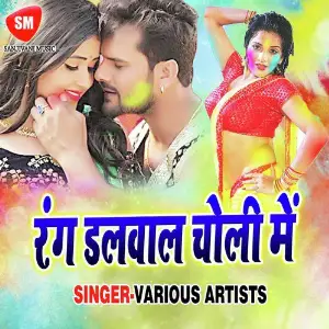 Rang Dalwala Choli Me image