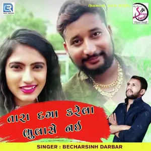 Tara Daga Karela Bhulase Nai image