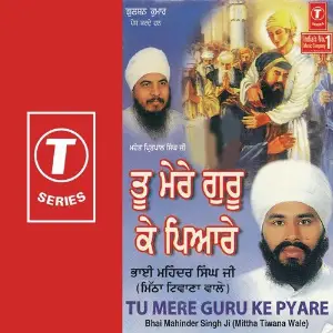 Tu Mere Gur Ke Pyare image