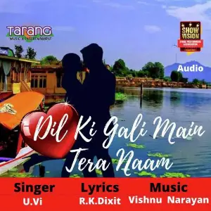 Dil Ki Gali Main Tera Naam image