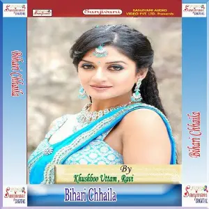 Bihari Chhaila image