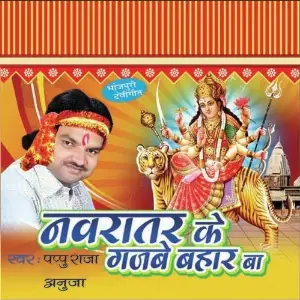 Navratra Ke Gajbe Bahaar Baa image