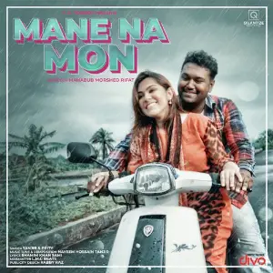 Mane Na Mon image