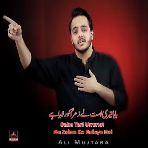 Baba Teri Ummat Ne Zahra Ko Rulaya Hai image